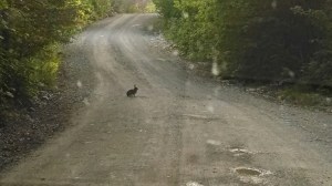 IMG_20150529_184527246