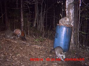 My beautiful picture