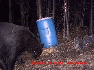 My beautiful picture