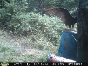 D55SRC_V068.C01031.061__FG=1250,FT=26890,NIR=1,GM=41,  EV=36,PY=24,DY=51,GB=0x80,SG=0x4,EL=499,AEY=225,VC=255,VT=0