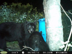 D55SRC_V068.C01031.061__FG=8000,FT=66606,NIR=0,GM=30,  EV=67,PY=0,DY=61,GB=0x80,SG=0x70,EL=1236,AEY=0,VC=255,VT=0