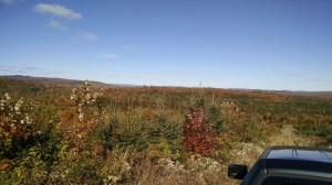 IMG_20151010_141650938