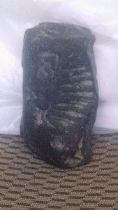 IMG_20151011_172311425