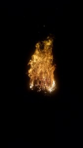 IMG_20151011_175339428