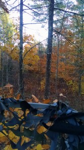 the Buddy Stand (c) S. Warren