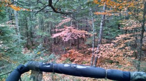 the New Stand (c) S. Warren