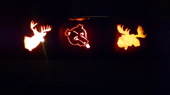 IMG_20151029_195545678