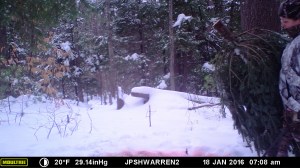 MOULTRIE DIGITAL GAME CAMERA