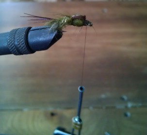 IMG_20160118_110007866