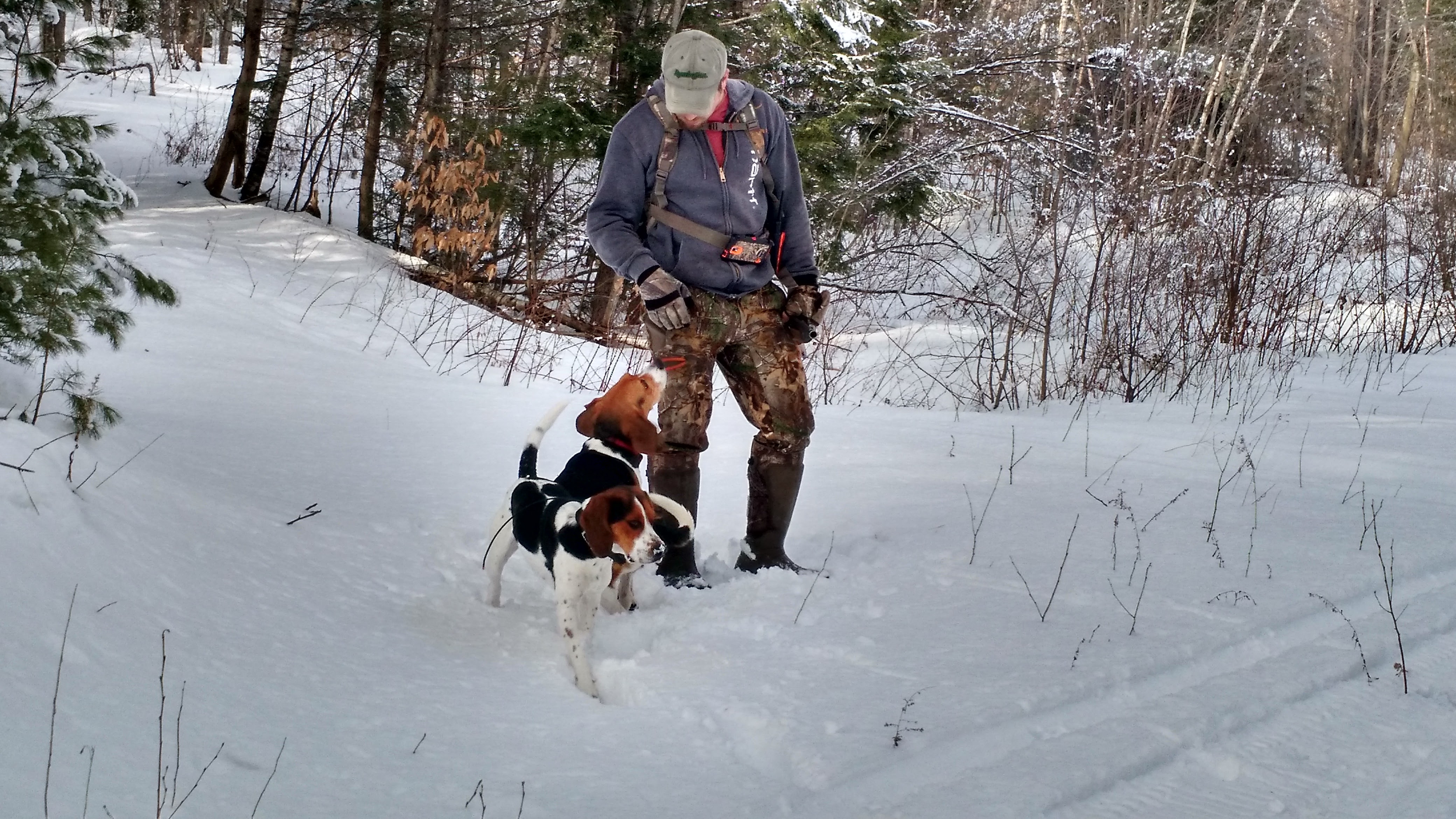 IMG_20160130_130515099_HDR