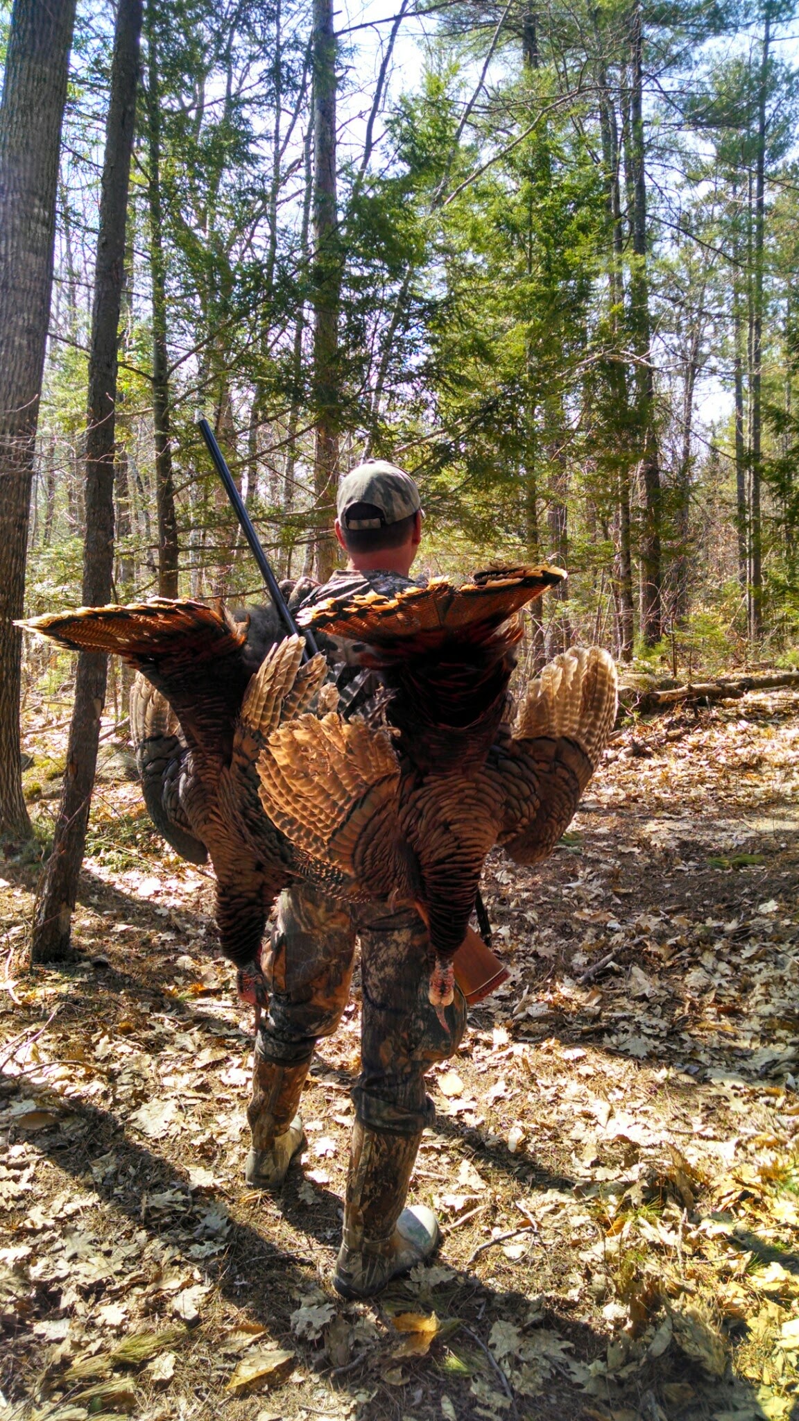 IMG_20150504_112303247_HDR