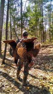 IMG_20150504_112303247_HDR