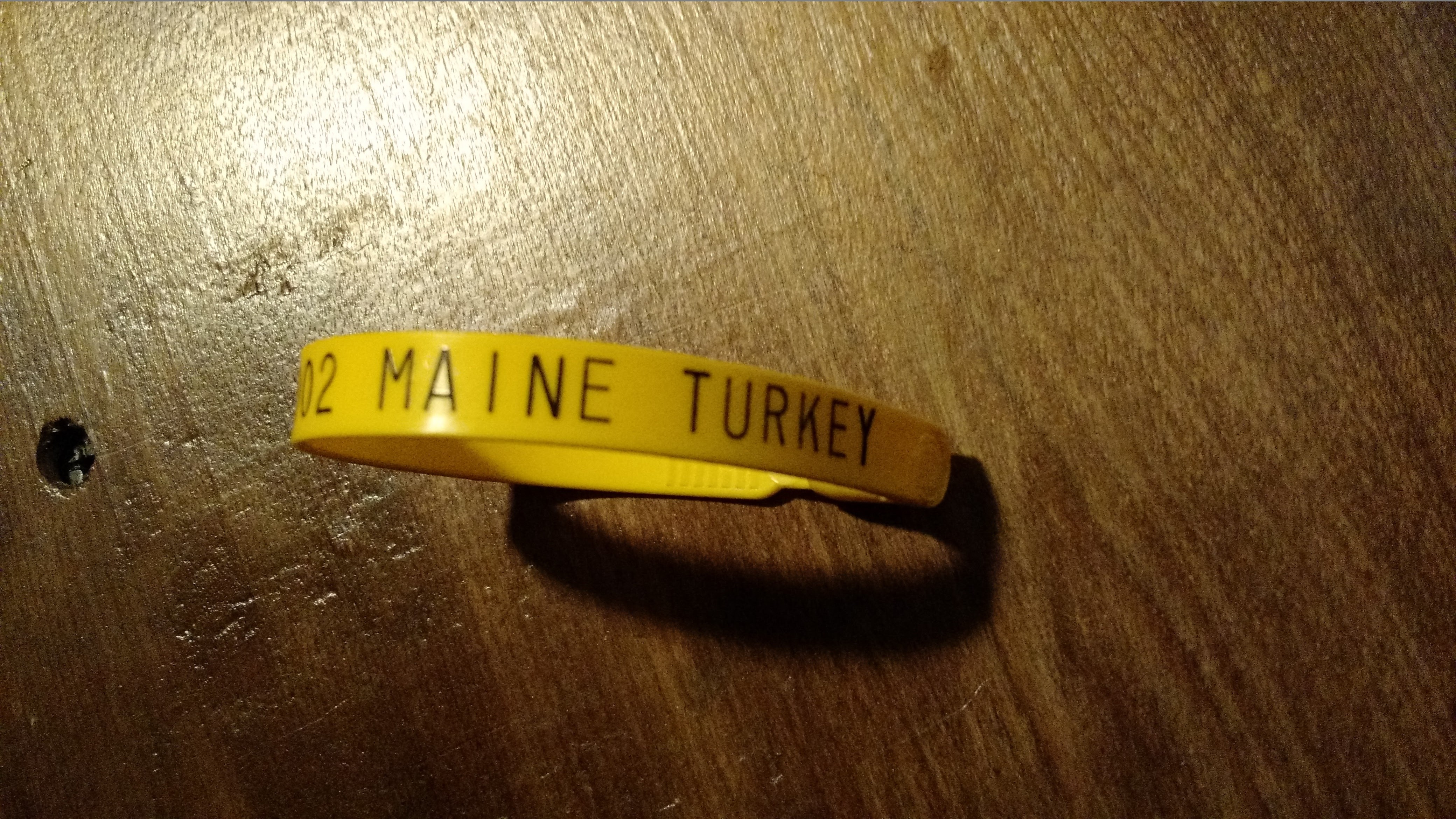 IMG_20160302_203726142