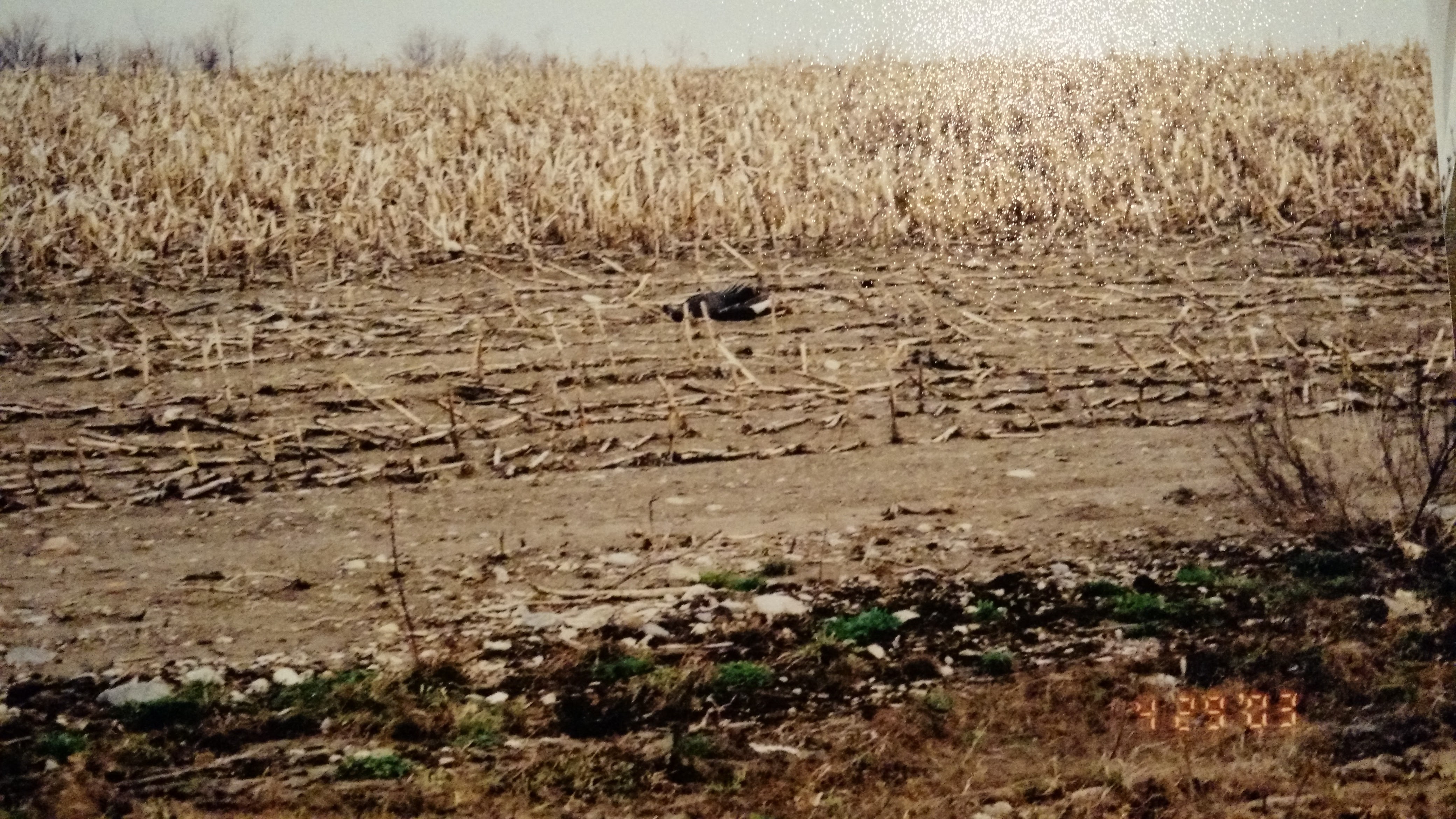 IMG_20160314_202746550