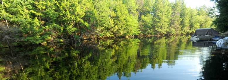 M+boatsvsbirds+4+copy