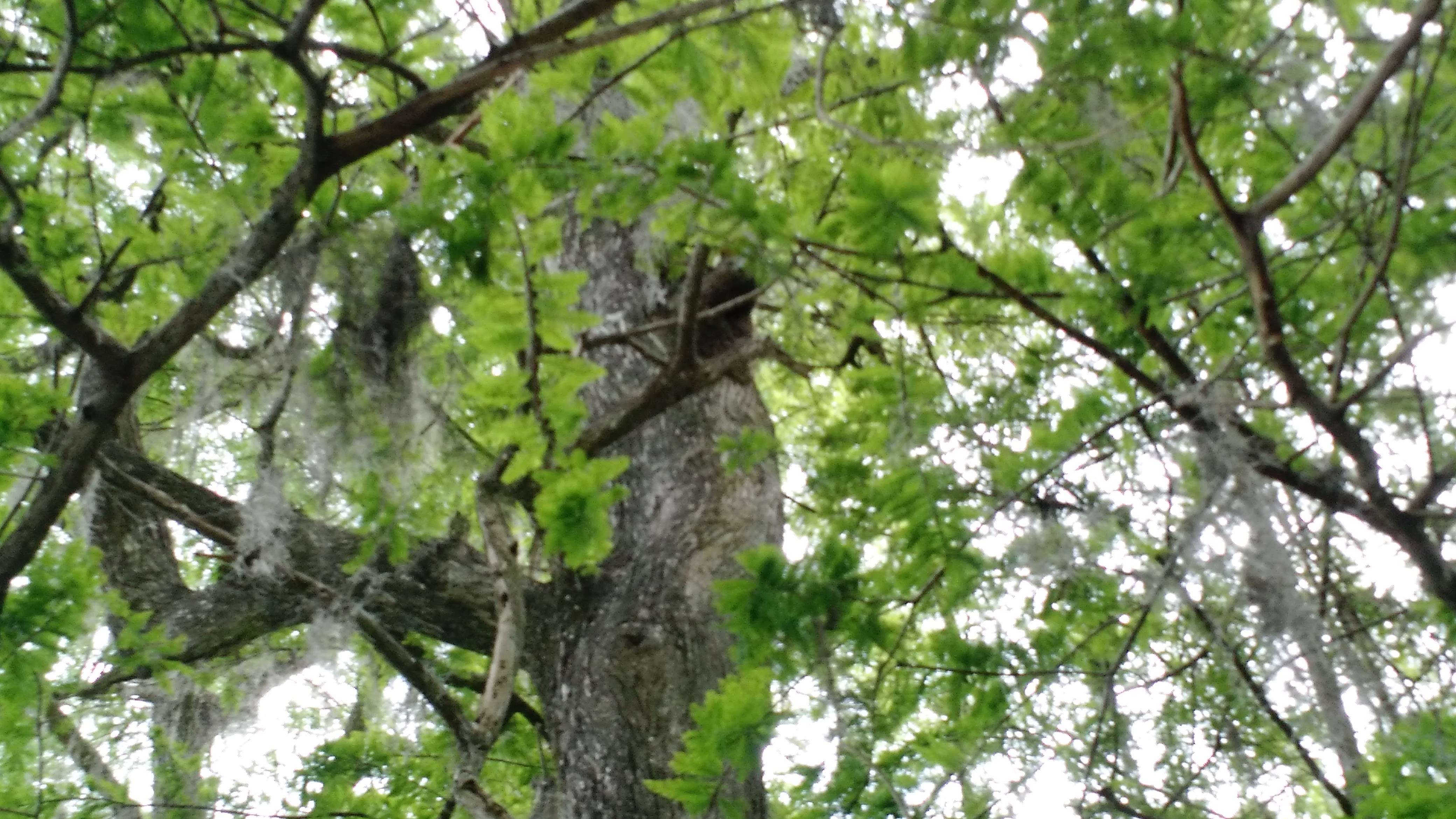 IMG_20160425_104600434