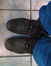 10849831_10203792393983894_8108823030631184248_n