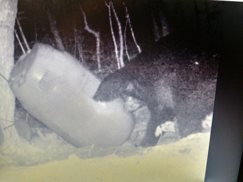 IMG_20160816_213715212_HDR