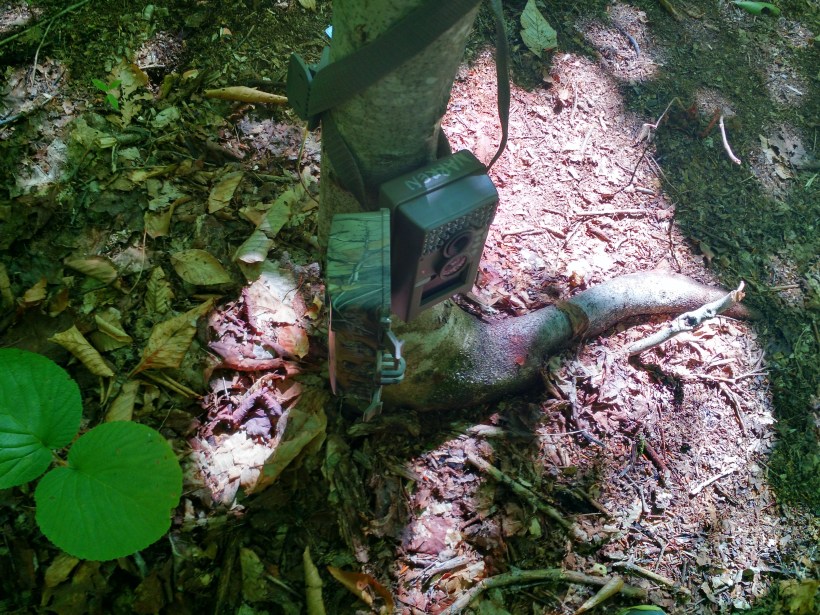 IMG_20160820_115828843_HDR