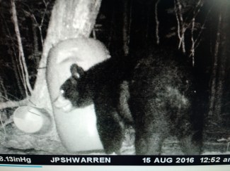 IMG_20160823_104640144