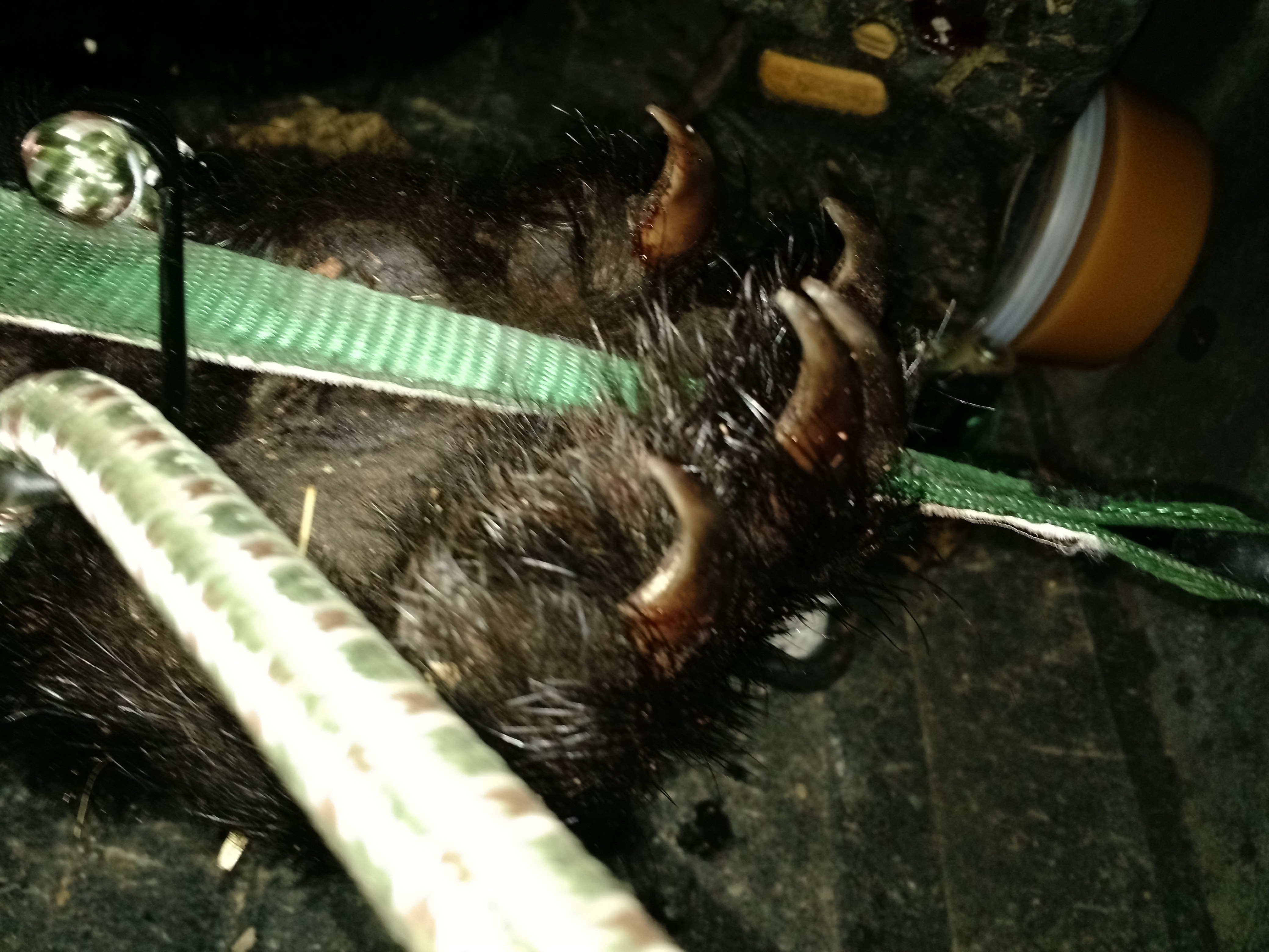 img_20160902_223204396