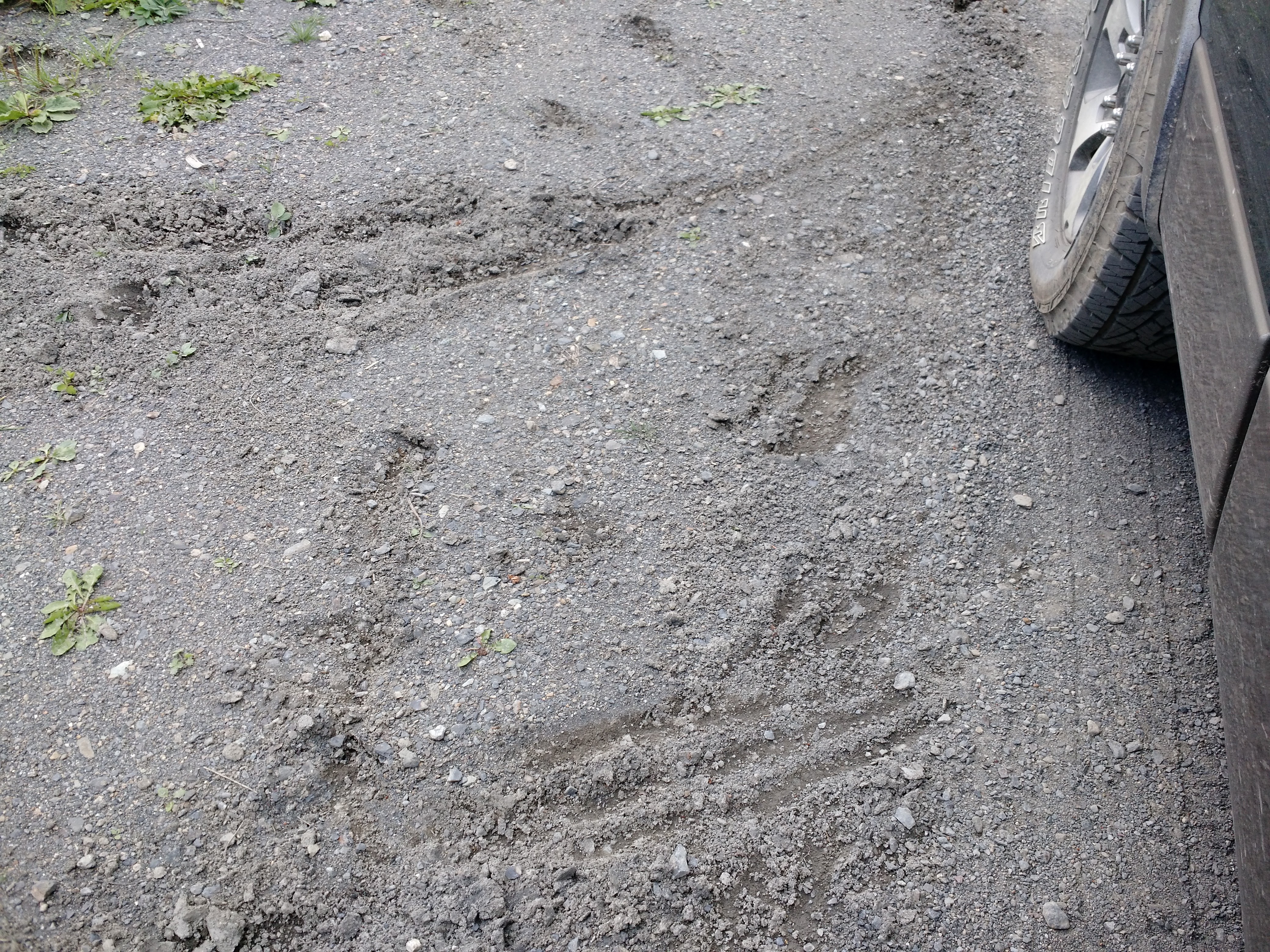 img_20160925_125719709