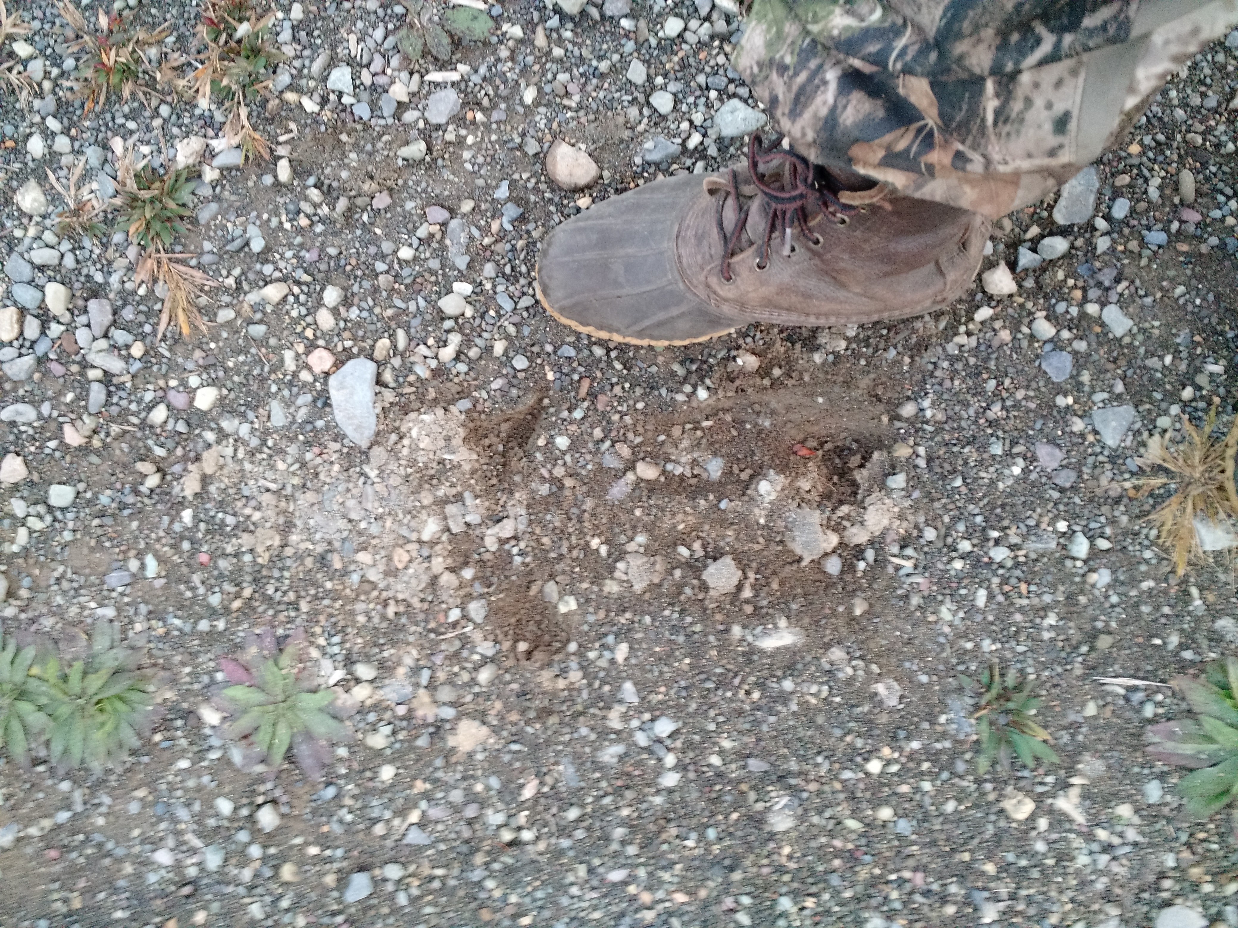 img_20160929_181323225