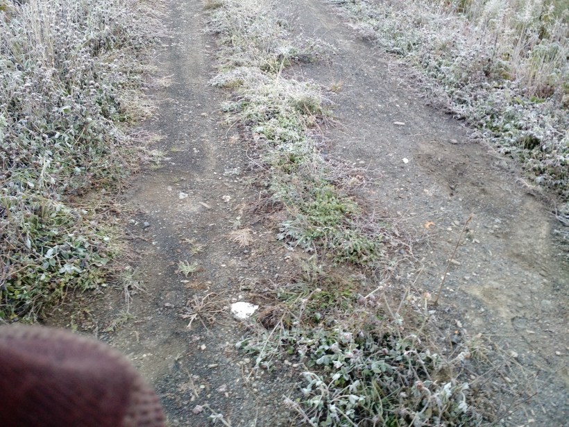 img_20160930_065529416