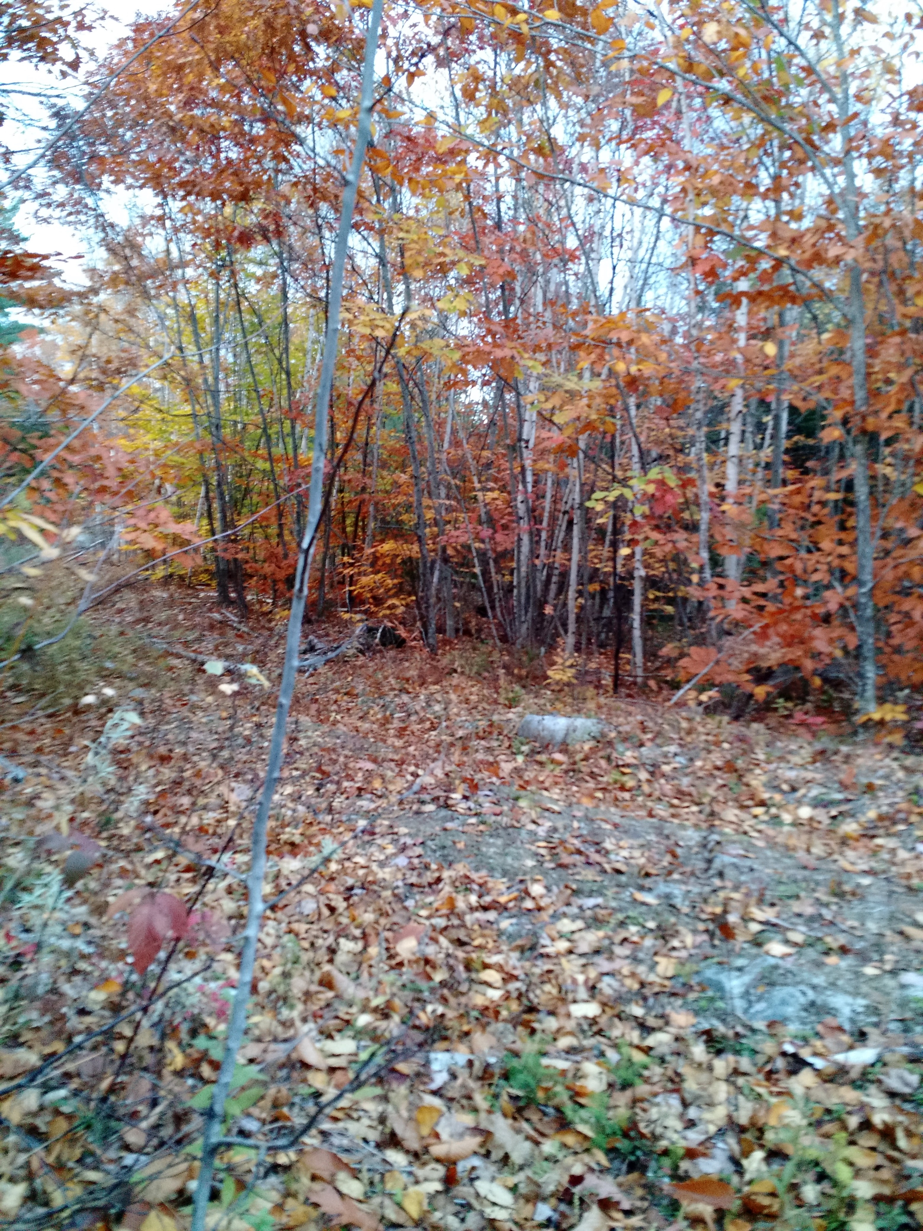 img_20161025_171314772