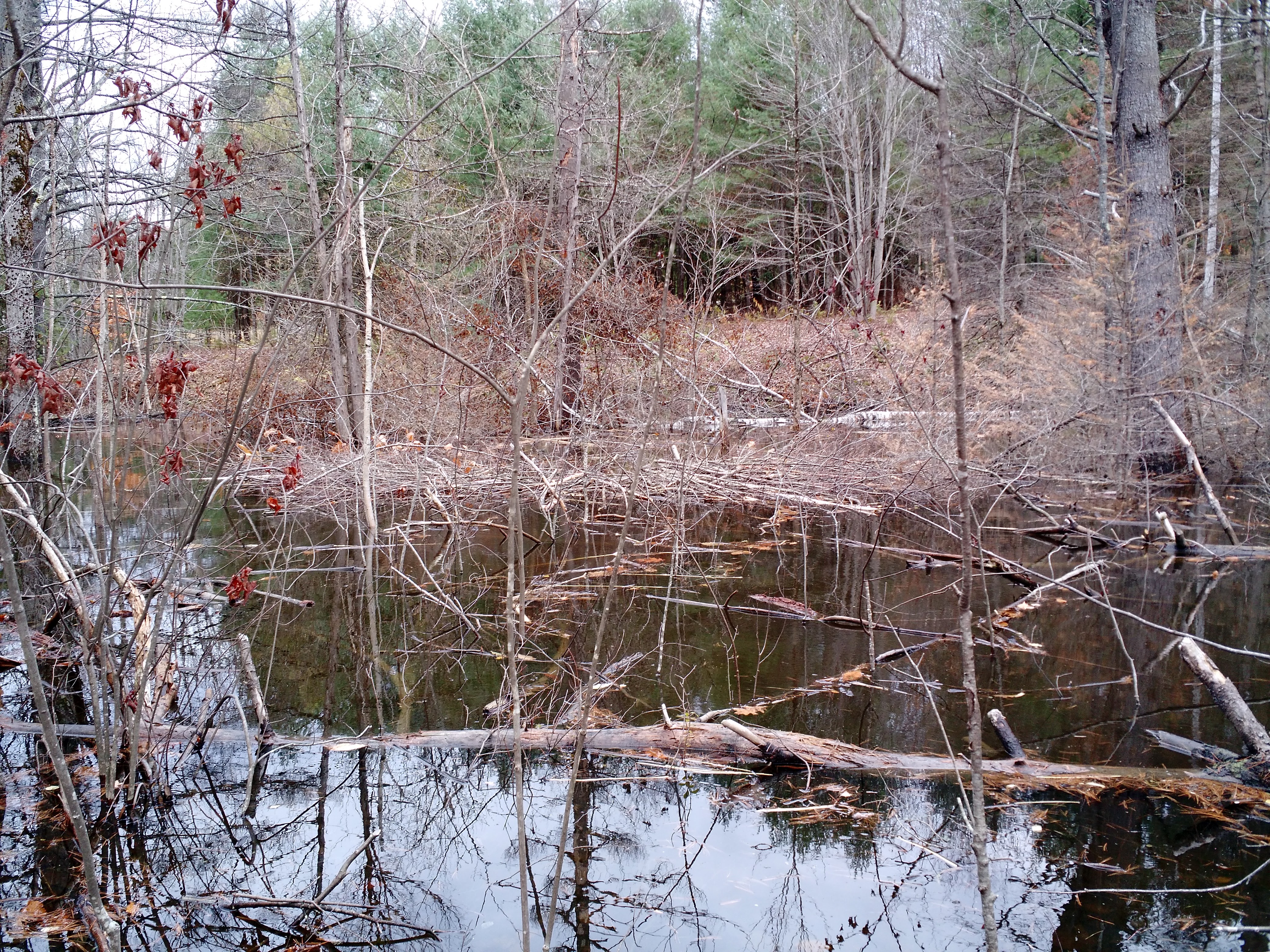 img_20161106_124055772