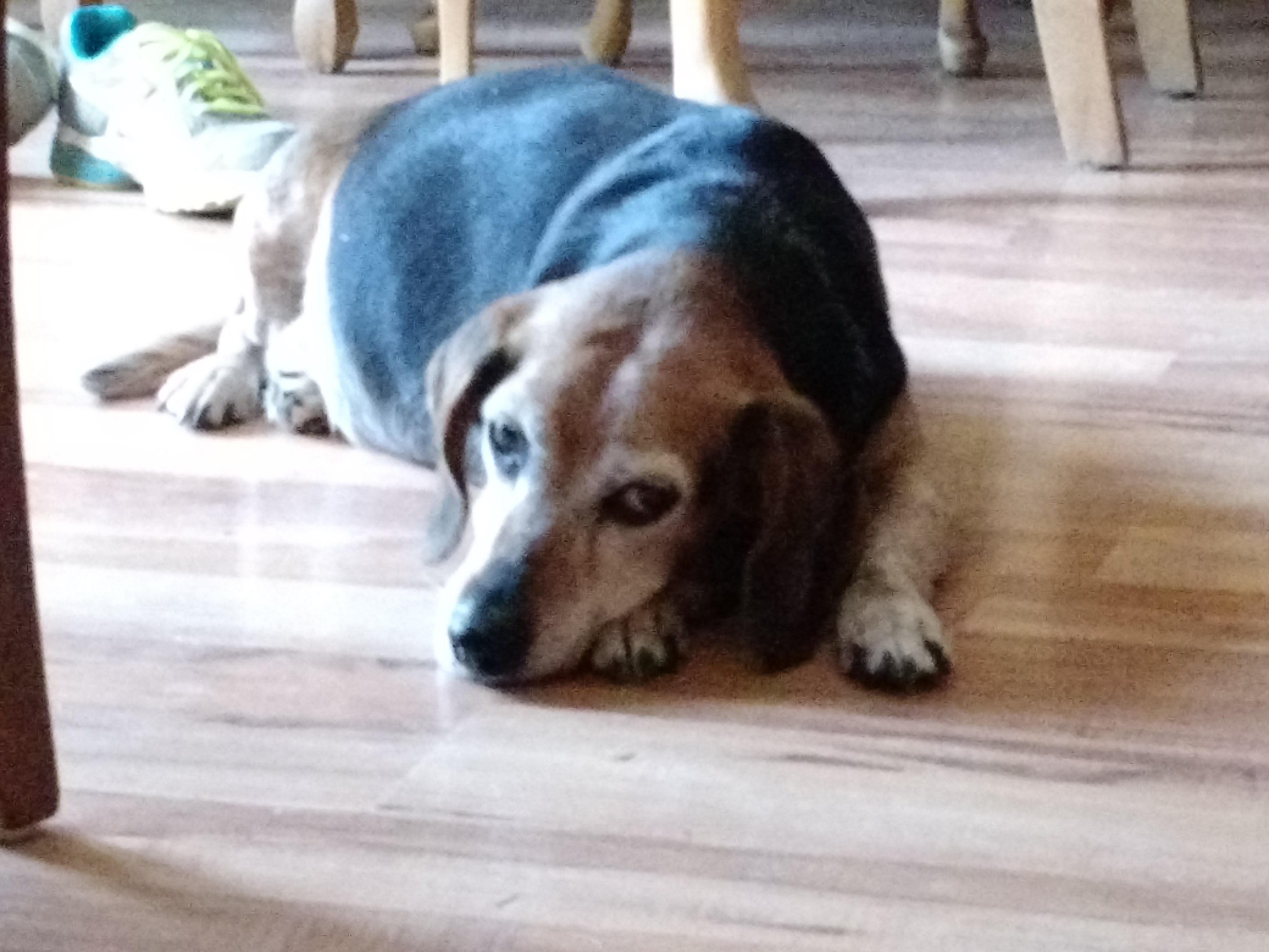 img_20160721_144312170