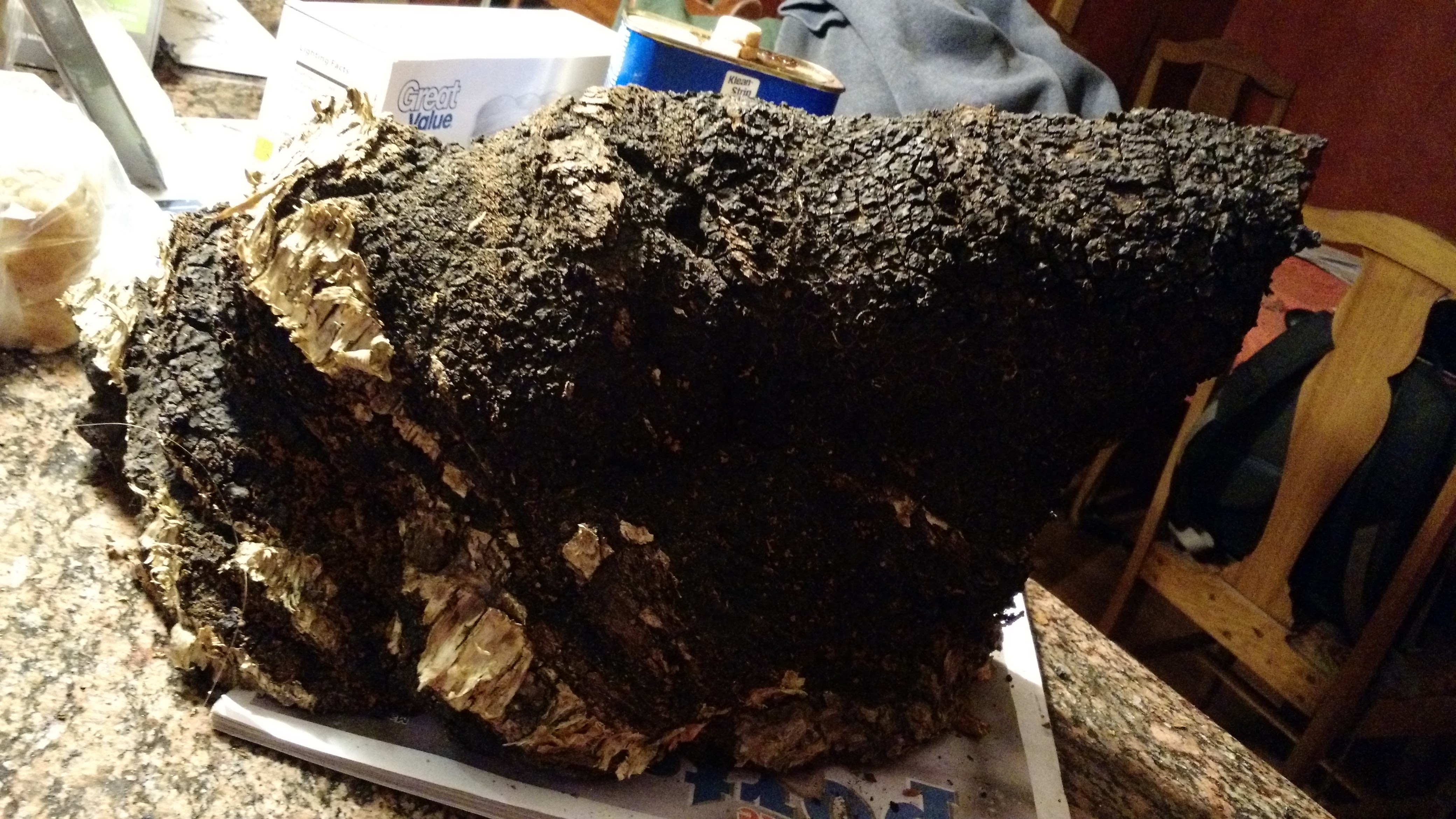 IMG_20160229_180040597