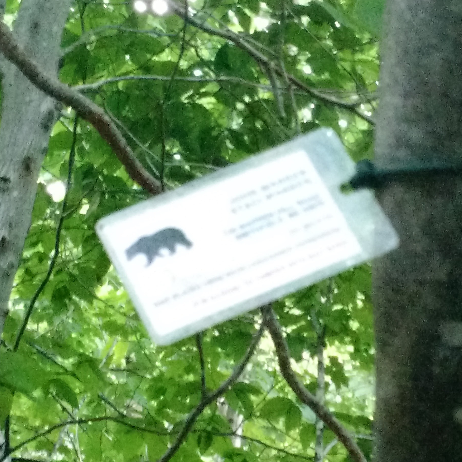 IMG_20160806_121616700_TOP