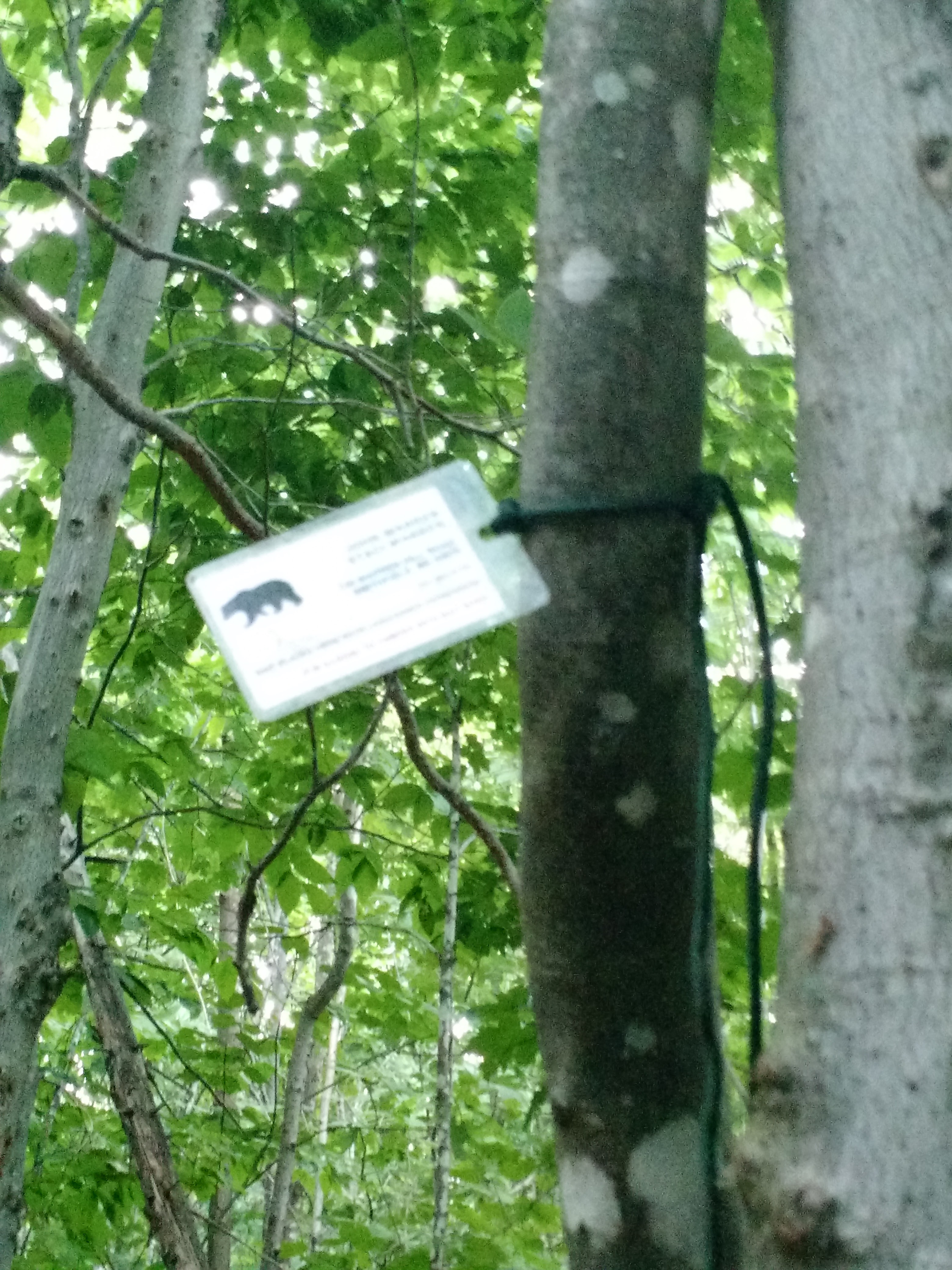 IMG_20160806_121616700_TOP