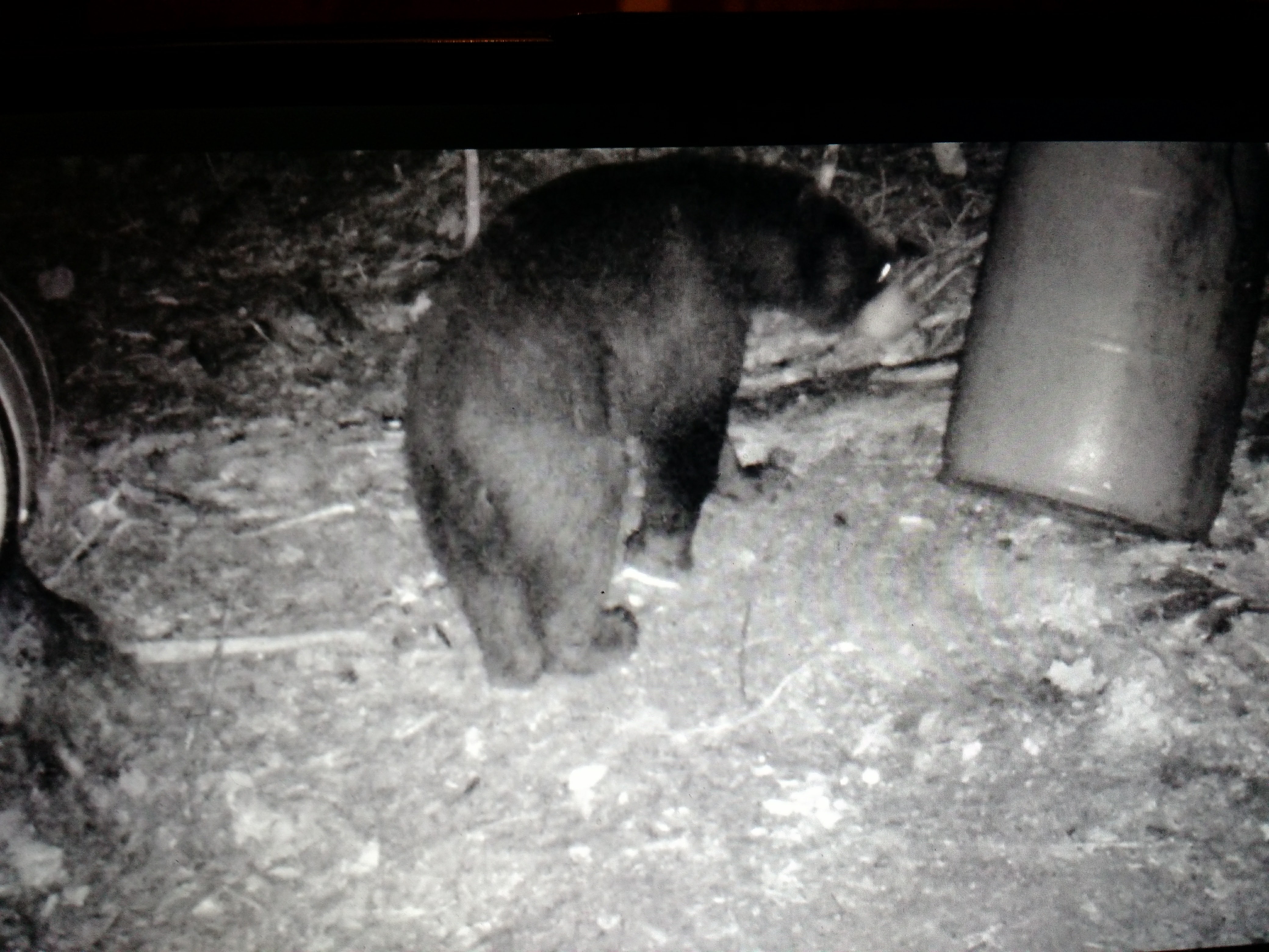 IMG_20170820_205708458