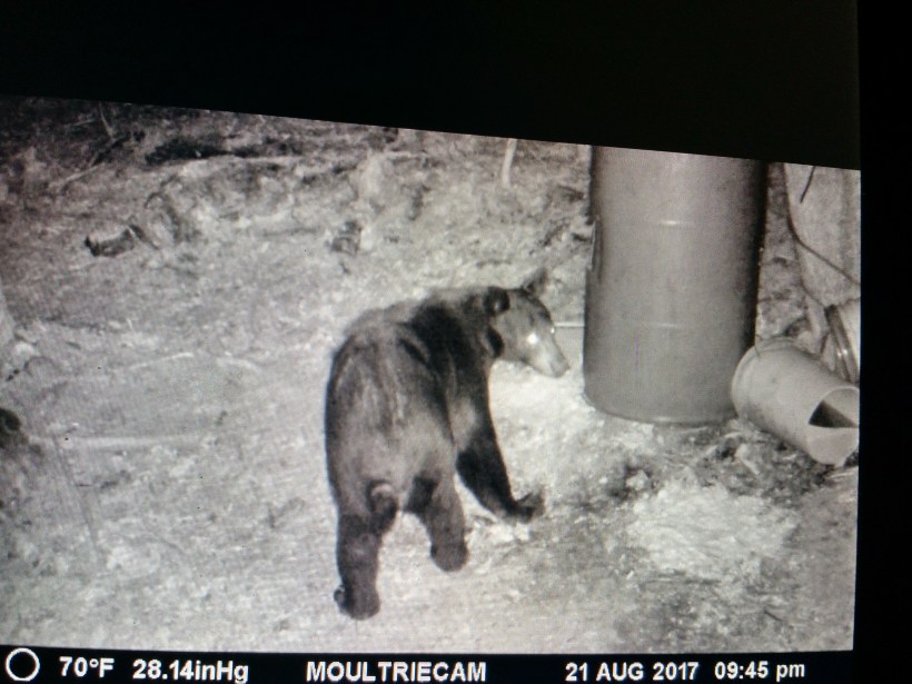 IMG_20170828_080643655_HDR