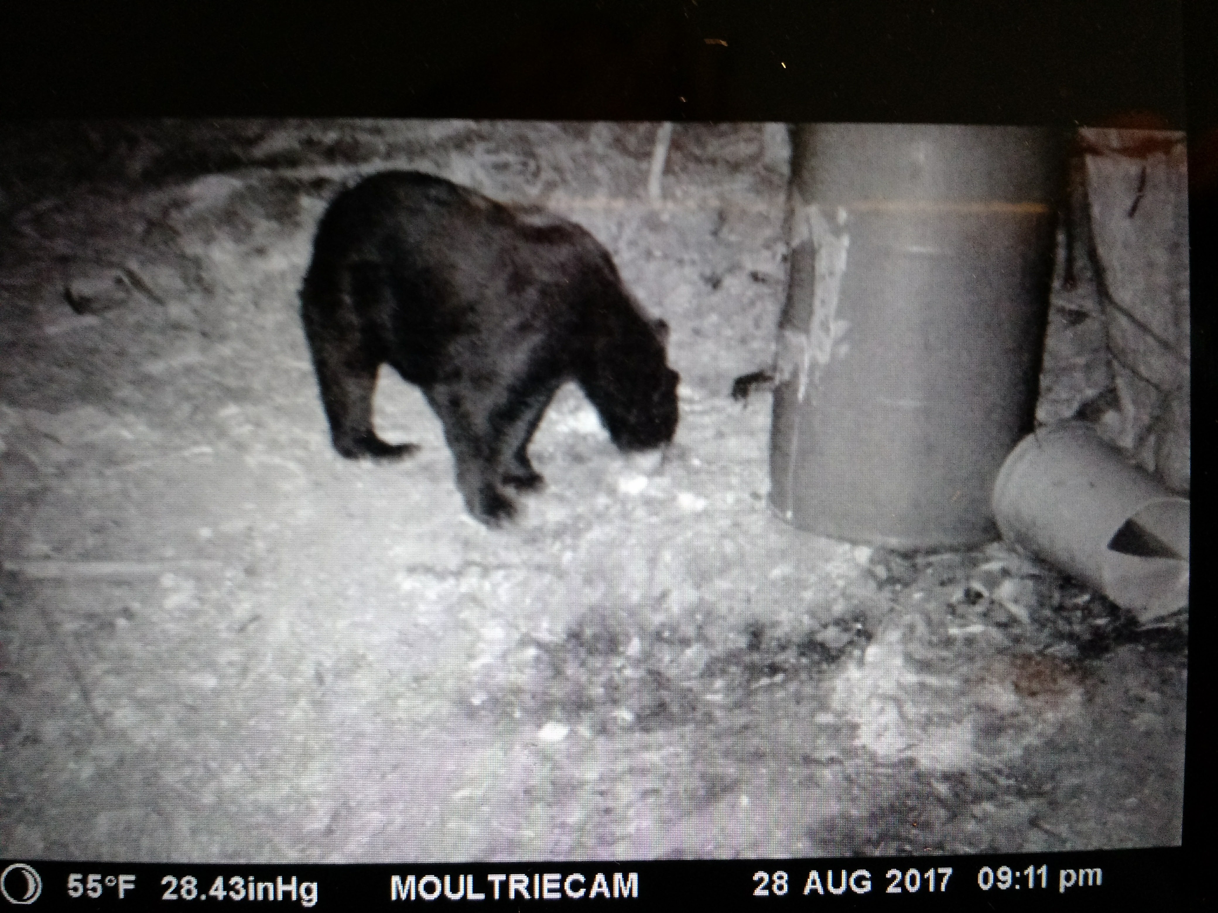 IMG_20170830_082146845