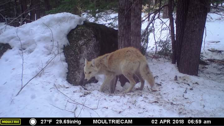 FB_IMG_1523235765743