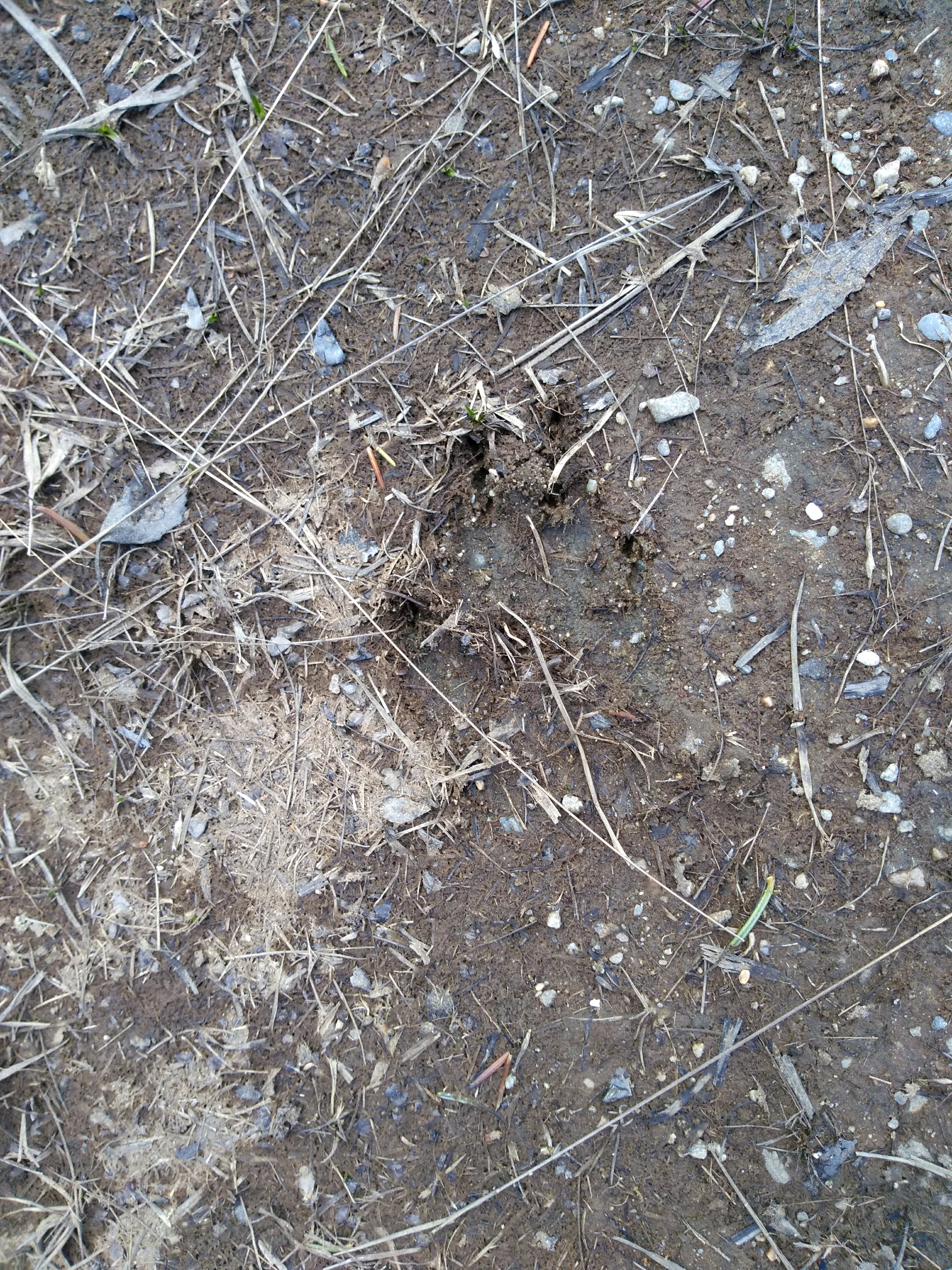 IMG_20180505_163046066