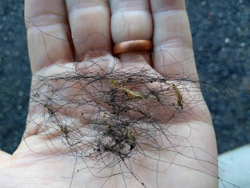 IMG_20180912_083630910