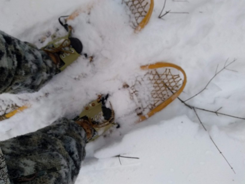 img_20190202_155944751