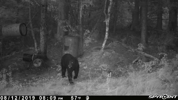 PICT2095_812201992958PM6rveO