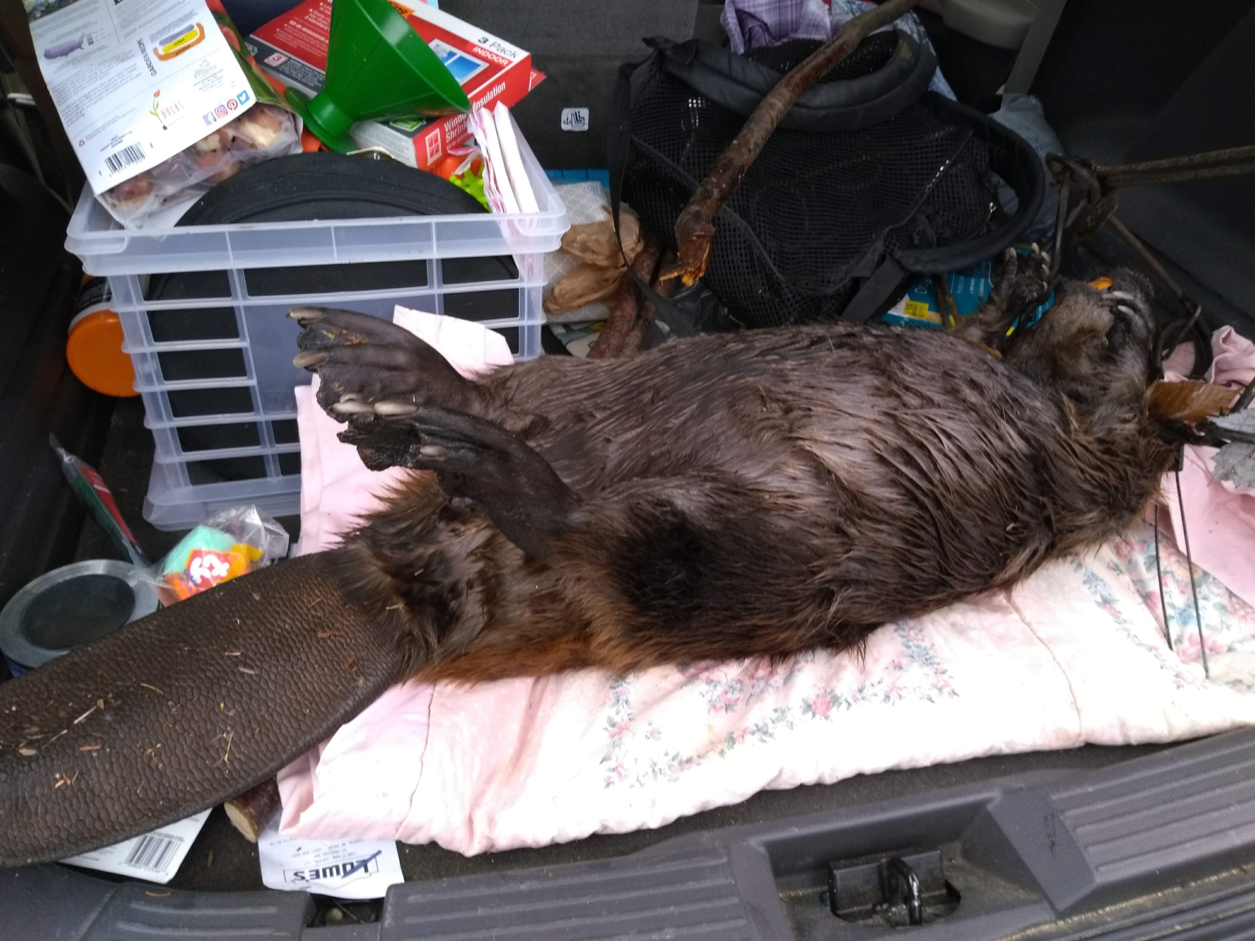 IMG_20191111_132118294