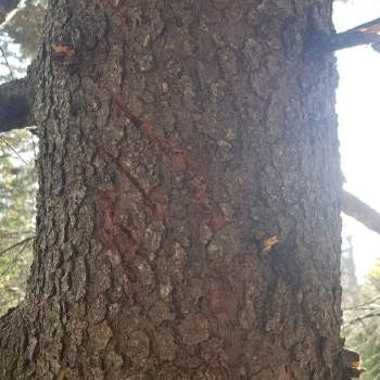 IMG_20191015_094418_496