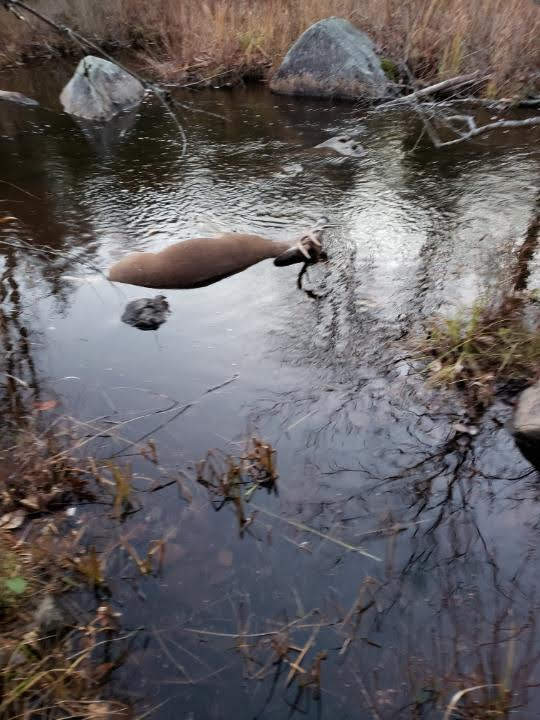 IMG_20191118_112602_01