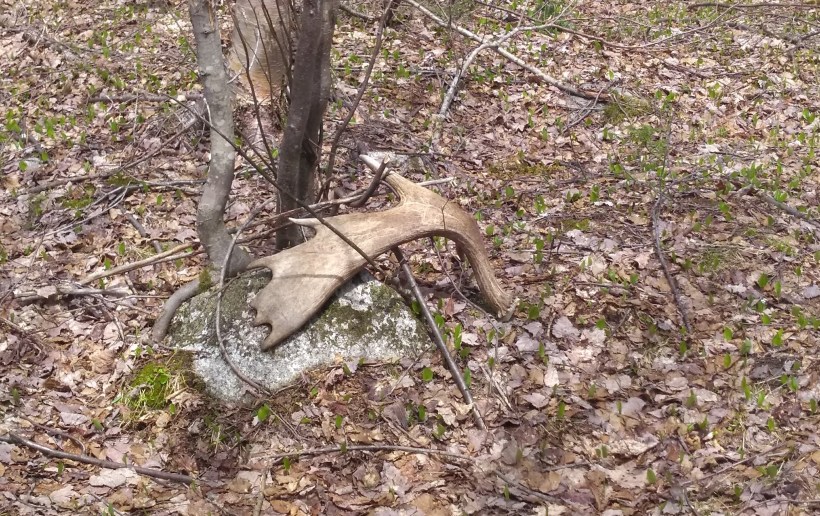 IMG_20200517_122711604